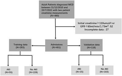 A Prediction Model for Acute Kidney Injury in Adult Patients With Minimal Change Disease